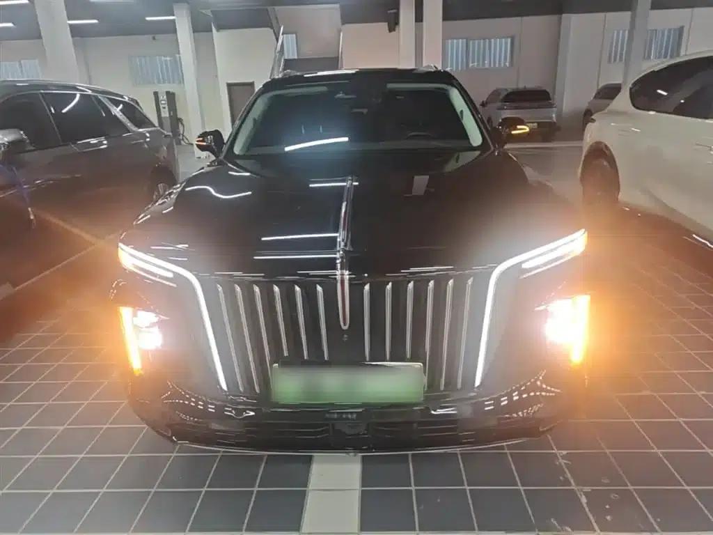 Hongqi E-HS9 2022 Model 660km Flagship Edition (Six Seats) — миниатюра 3
