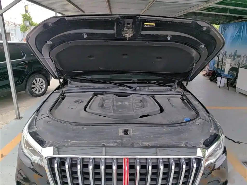 Hongqi HS7 2021 2.0T DCT 2WD Intelligent Flagship Edition — миниатюра 20