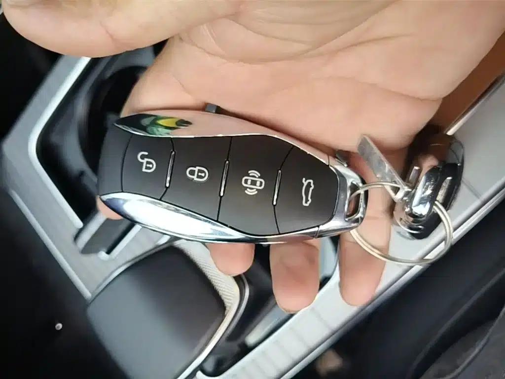Hongqi HS7 PHEV 2024 2.0T PHEV 4WD Flagship Edition 6-seater — миниатюра 9