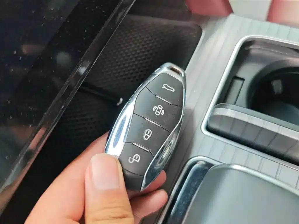 Hongqi HS7 PHEV 2024 2.0T PHEV 4WD Flagship Edition 6-seater — миниатюра 9