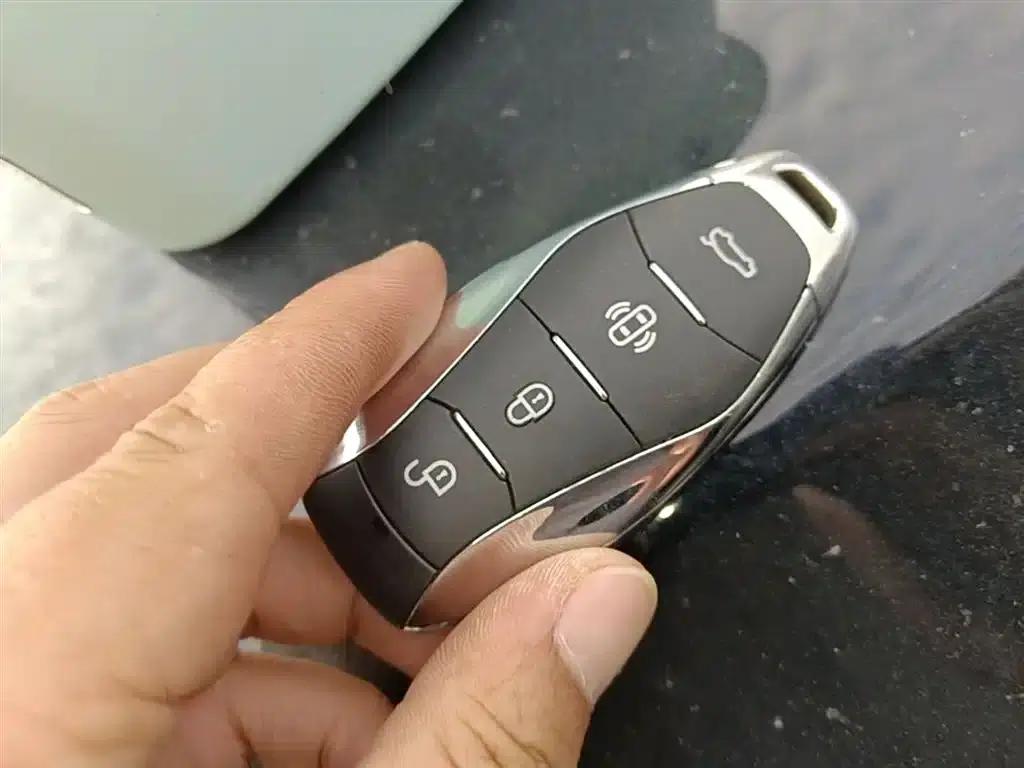 Hongqi HS7 PHEV 2024 2.0T PHEV 4WD Flagship Edition 7-seater — миниатюра 9