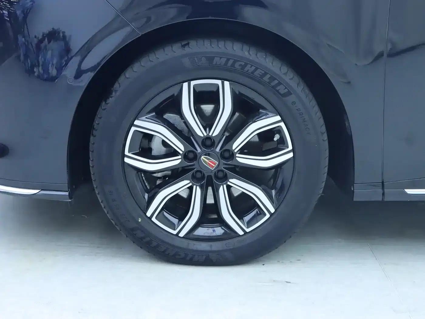 Hongqi HQ9 2023 2.0T Intelligent Flagship Edition — миниатюра 4