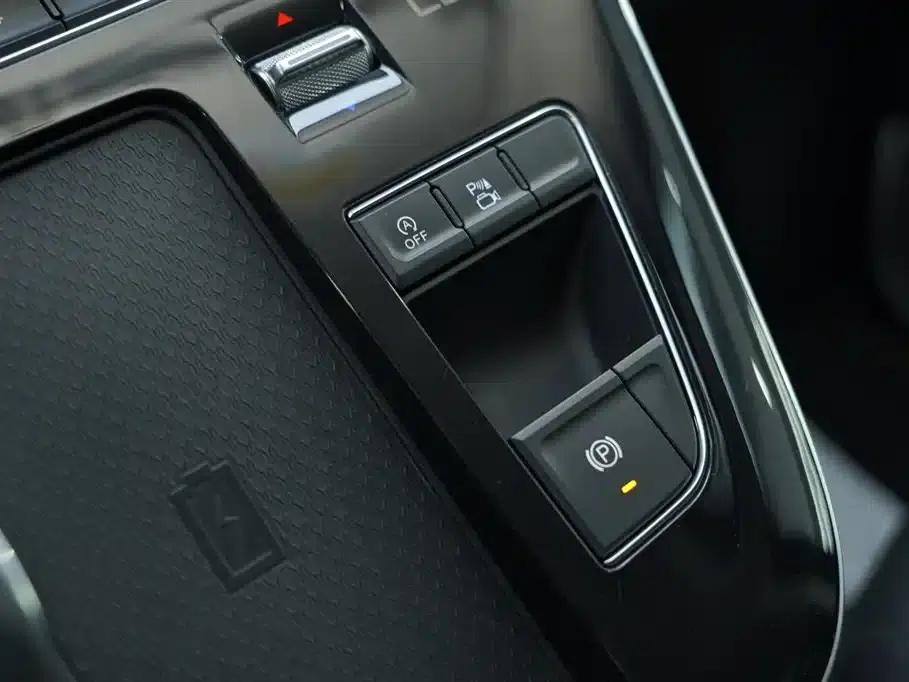 Hongqi HQ9 2023 2.0T Intelligent Flagship Edition — миниатюра 23