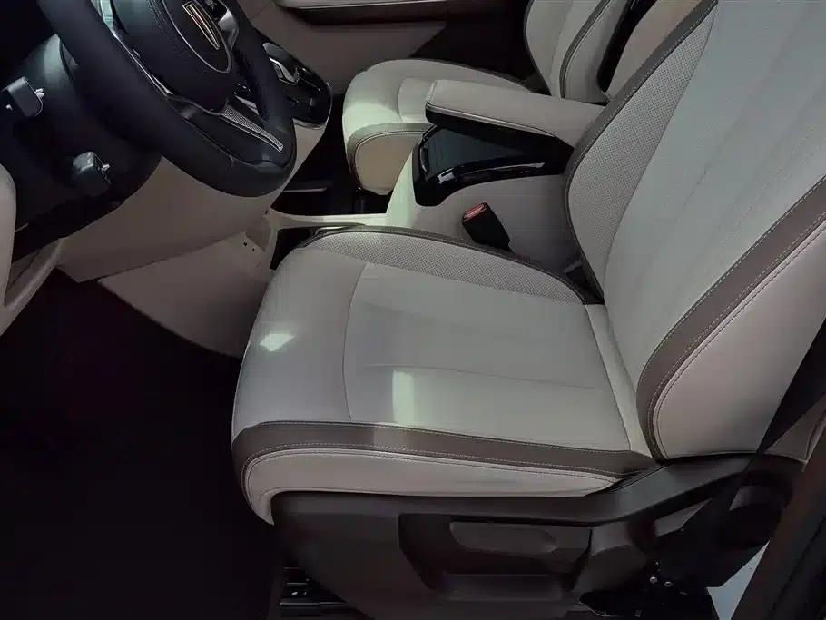 Hongqi HQ9 PHEV 2024 2.0T AWD Business Edition — миниатюра 9