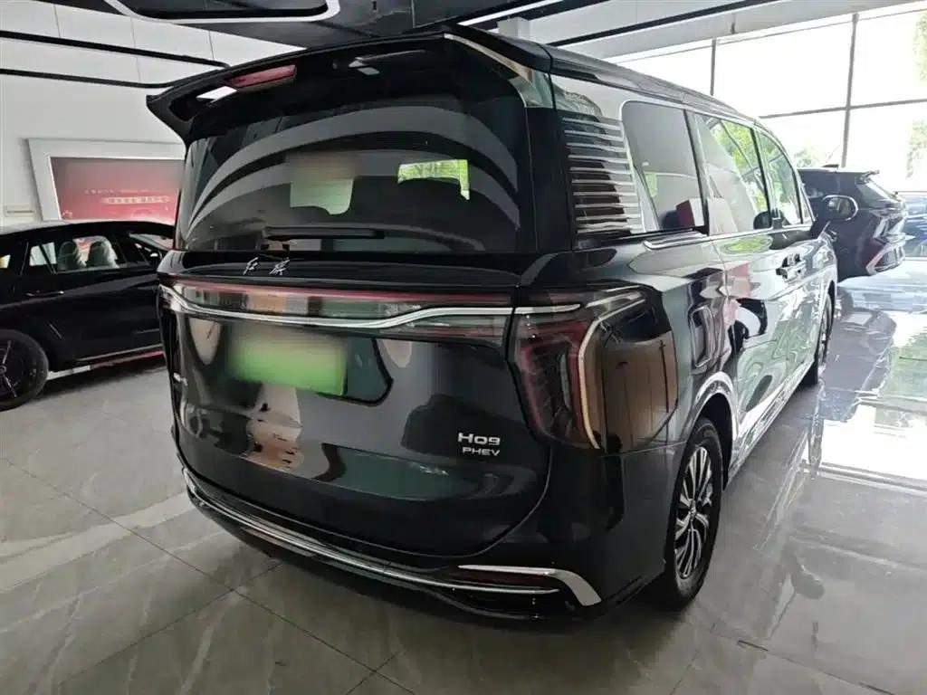 Hongqi HQ9 PHEV 2024 2.0T AWD Luxury Edition — миниатюра 7