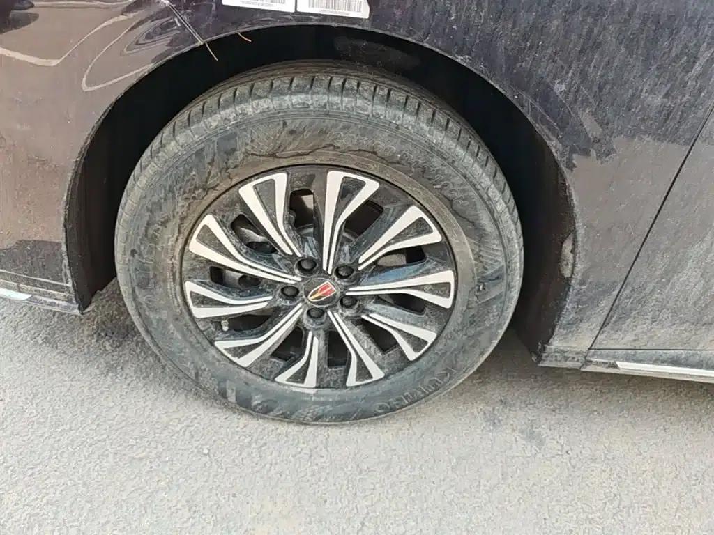 Hongqi HQ9 PHEV 2024 2.0T AWD Business Edition — миниатюра 23