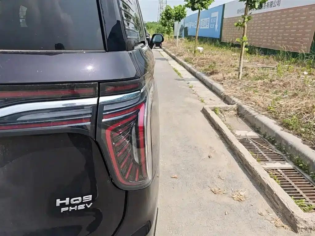 Hongqi HQ9 PHEV 2024 2.0T AWD Business Edition — миниатюра 8
