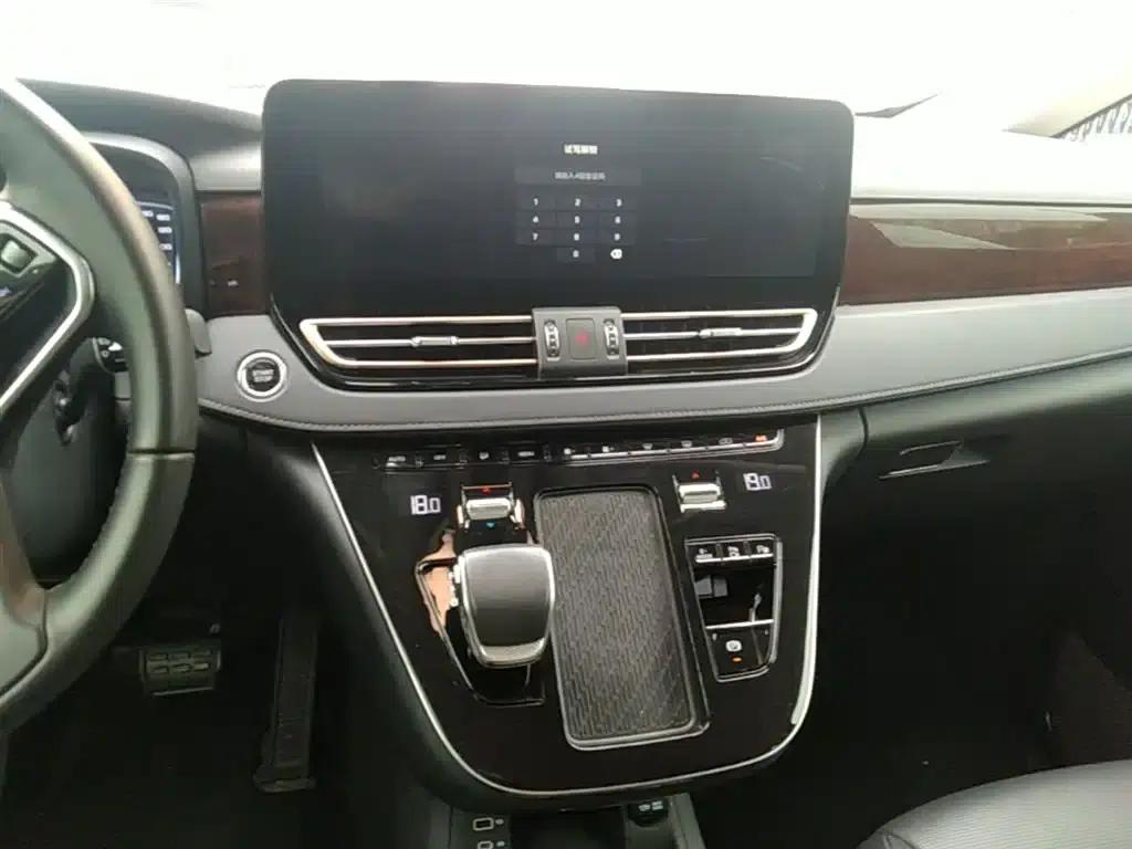 Hongqi HQ9 PHEV 2024 2.0T AWD Luxury Edition — миниатюра 13