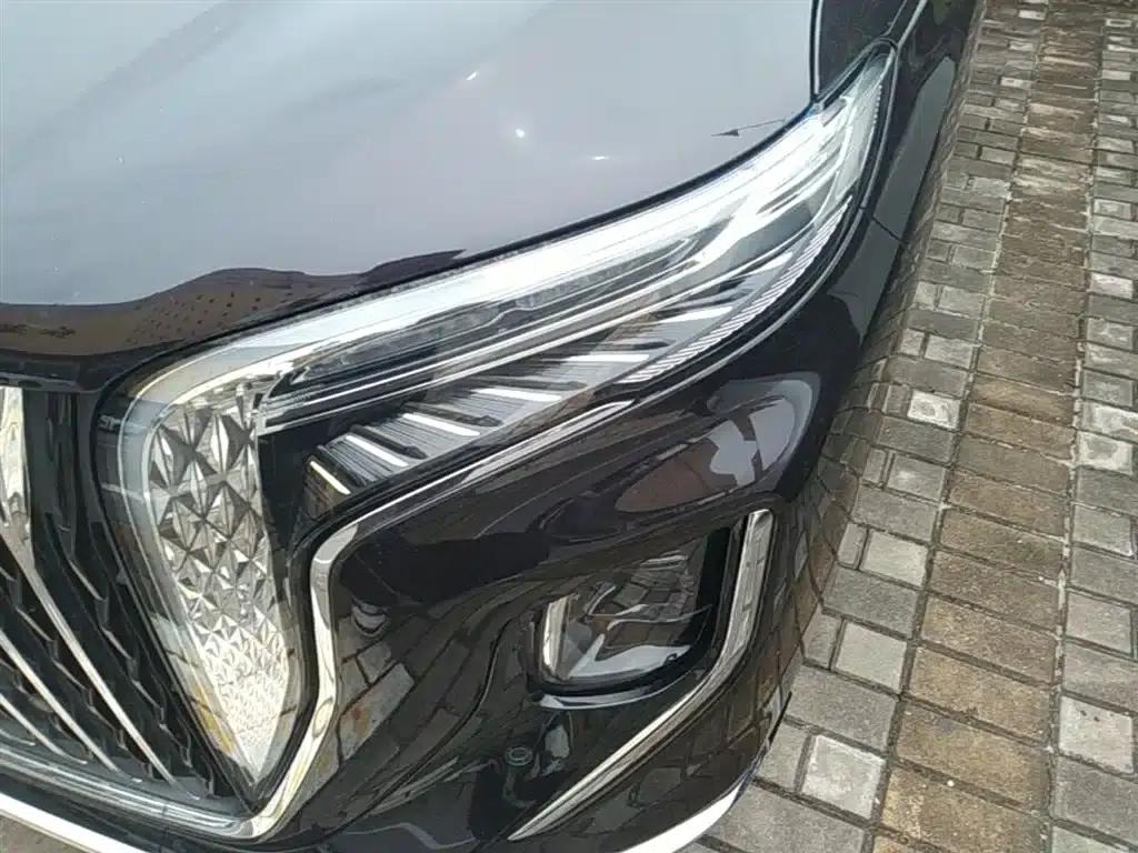 Hongqi HQ9 PHEV 2024 2.0T AWD Luxury Edition — миниатюра 24