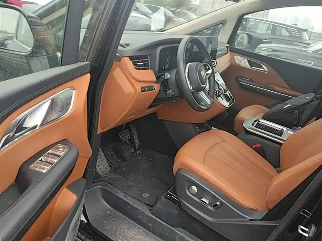 Hongqi HQ9 PHEV 2024 2.0T AWD Business Edition — миниатюра 16