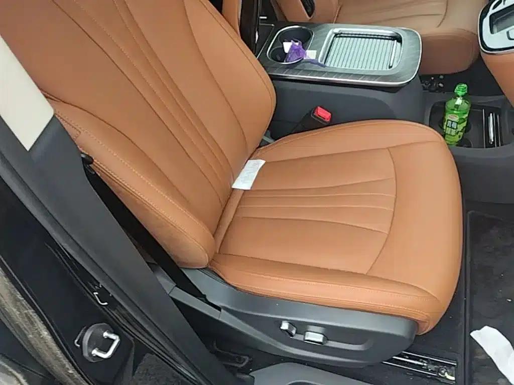 Hongqi HQ9 PHEV 2024 2.0T AWD Business Edition — миниатюра 25