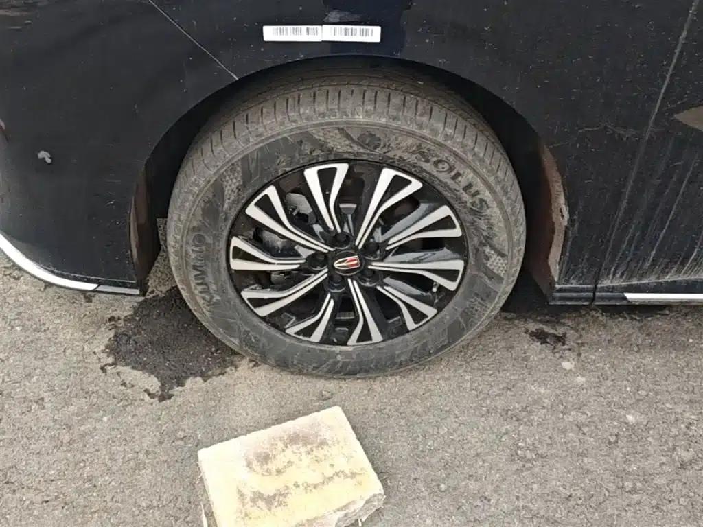 Hongqi HQ9 PHEV 2024 2.0T AWD Business Edition — миниатюра 23