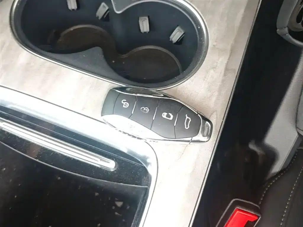 Hongqi HQ9 PHEV 2024 2.0T AWD Business Edition — миниатюра 9