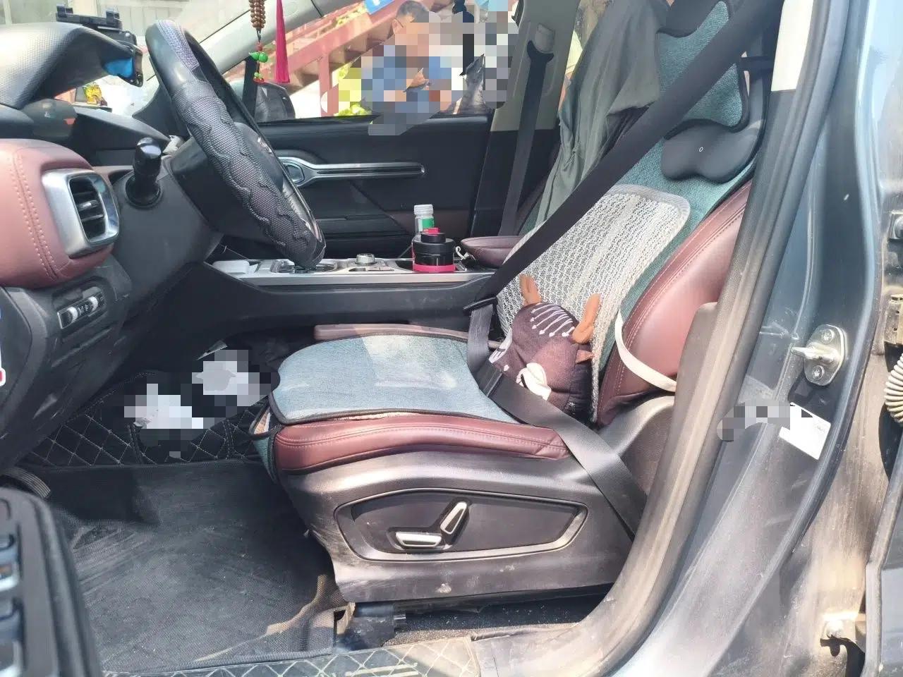 Geely Auto Haoyue 2022 1.8TD DCT Luxury 7-Seater — миниатюра 16