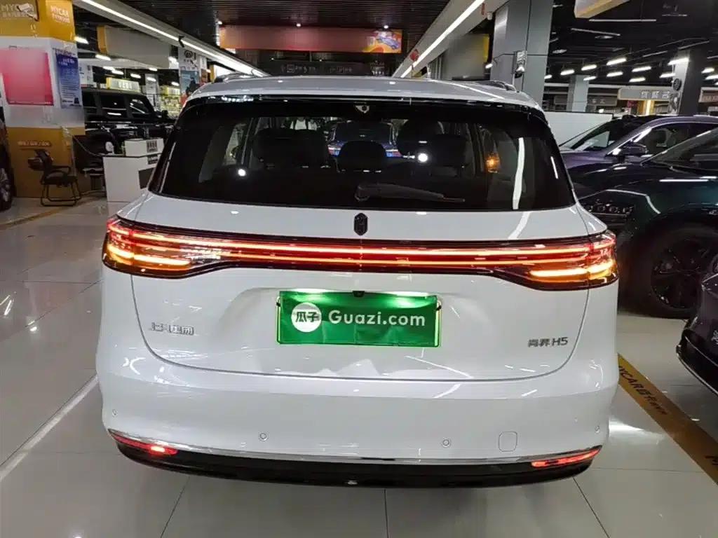 2025 Shangjie H5 Extended Range Max — миниатюра 6