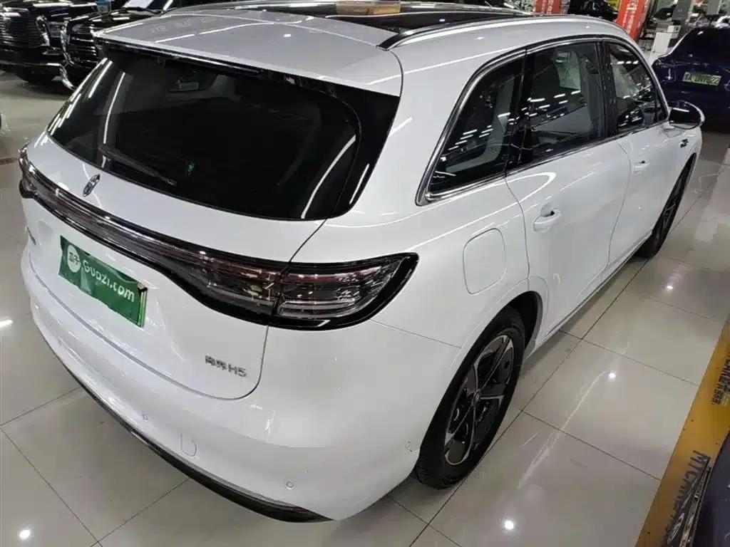 2025 Shangjie H5 Extended Range Max — миниатюра 7