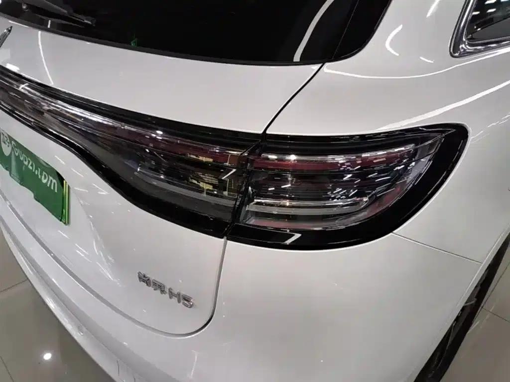 2025 Shangjie H5 Extended Range Max — миниатюра 8
