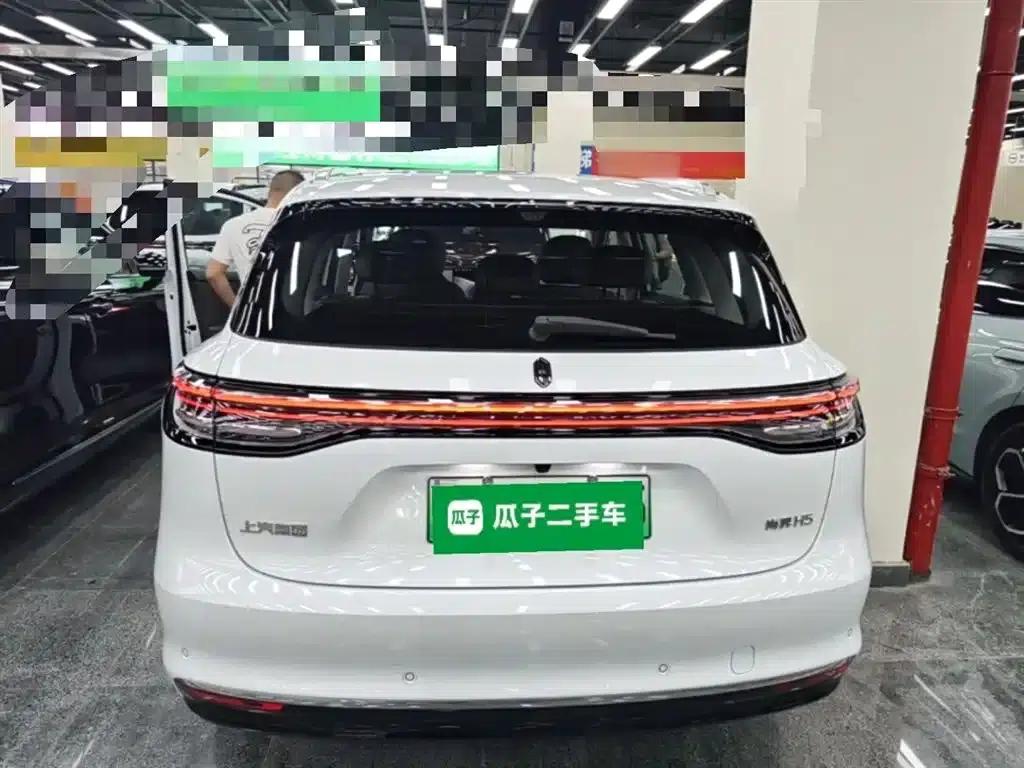 2025 Shangjie H5 Extended Range Max — миниатюра 6