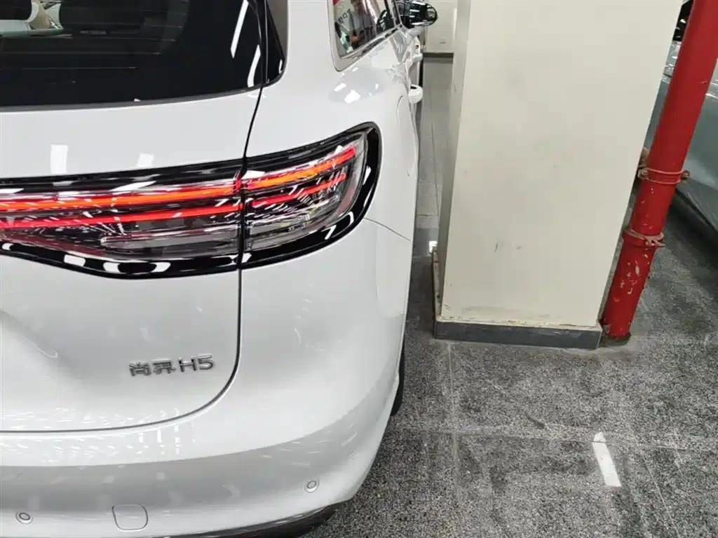 2025 Shangjie H5 Extended Range Max — миниатюра 8