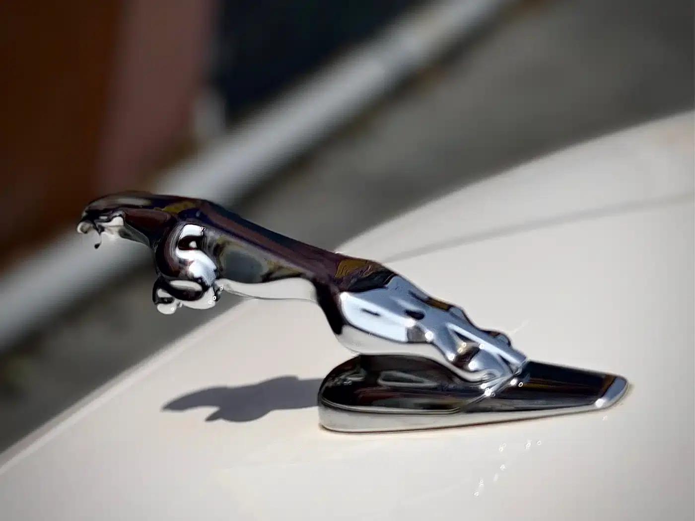 Jaguar XJ 2015 XJL 2.0T 2WD Elegant Business Edition — миниатюра 11