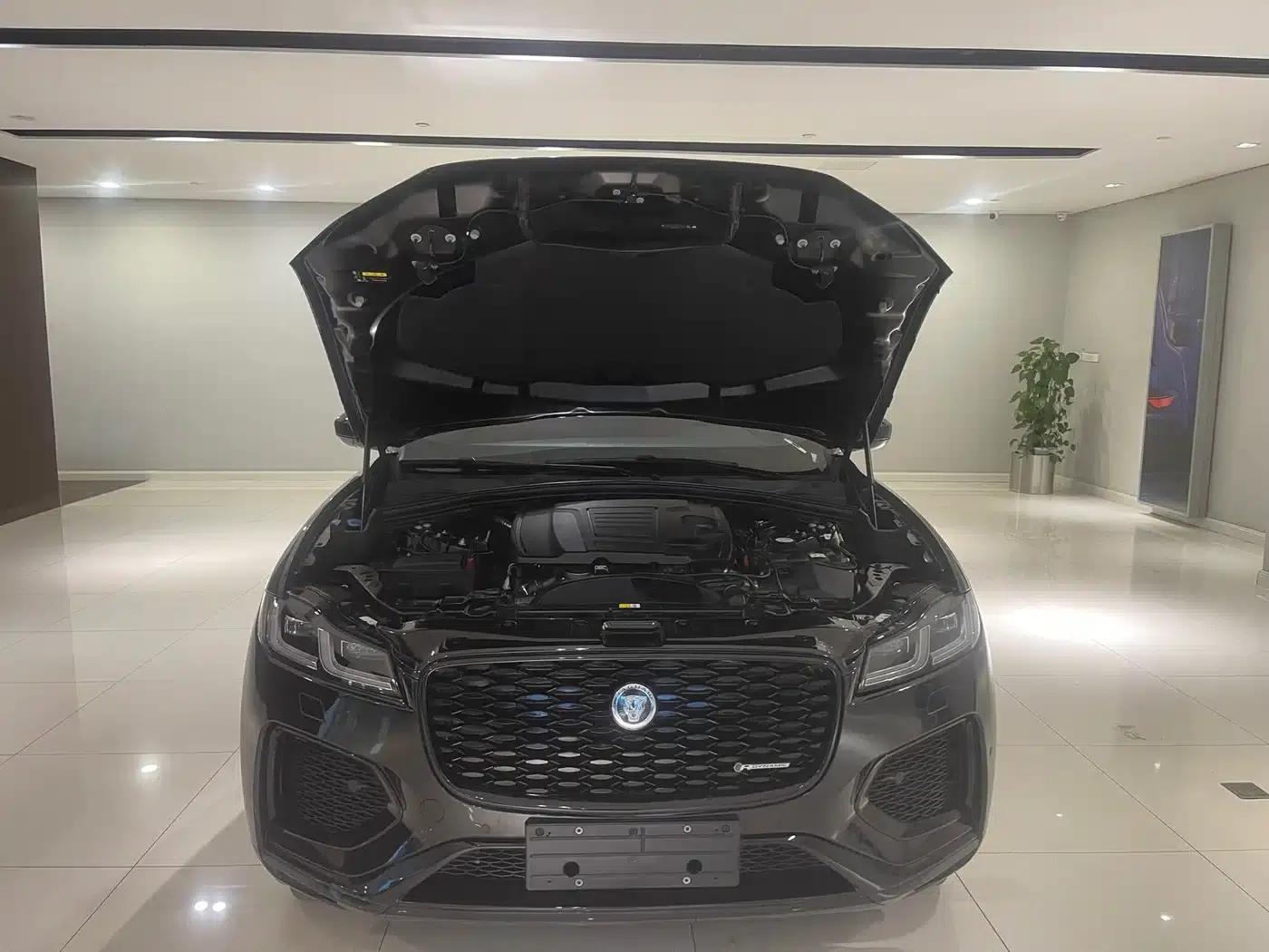 2024 Jaguar F-PACE P250 R-Dynamic SE — миниатюра 9