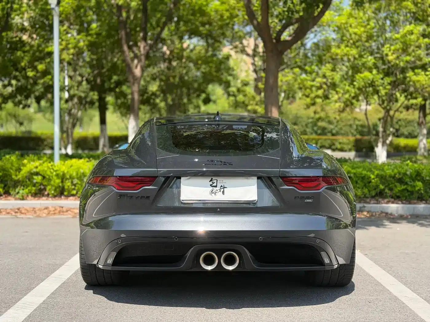 Jaguar F-TYPE 2021 P380 AWD V6 Track Legend Edition — миниатюра 10