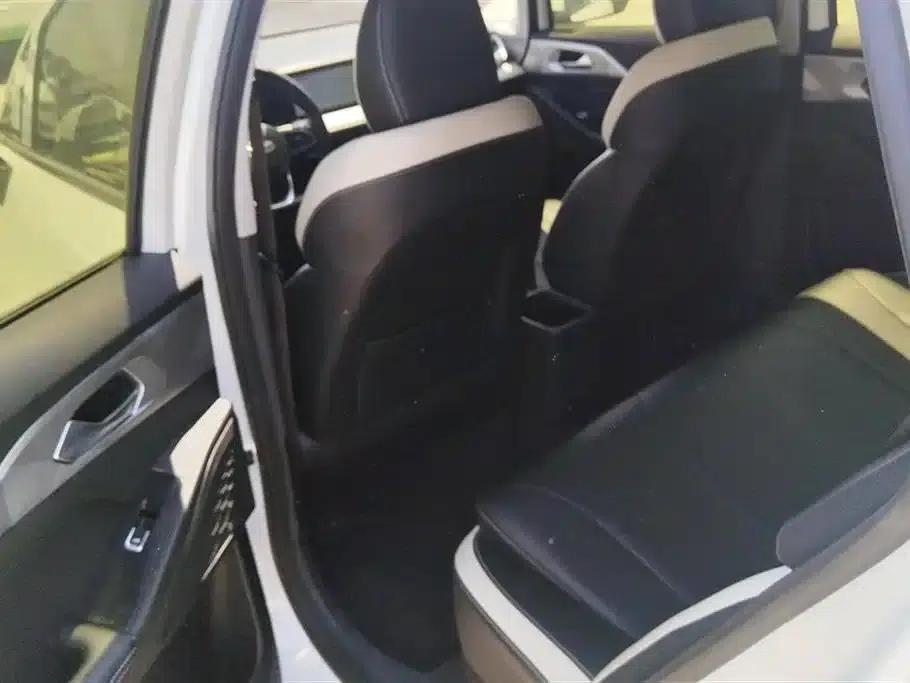 Geely Geometry E Firefly 2022 Model 320KM Cute Tiger 4-Seater — миниатюра 11
