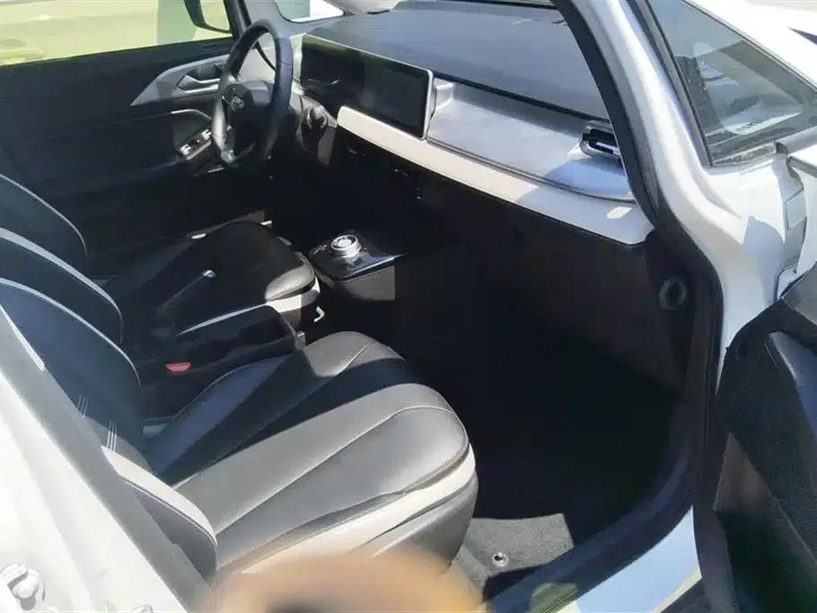 Geely Geometry E Firefly 2022 Model 320KM Cute Tiger 4-Seater — миниатюра 8