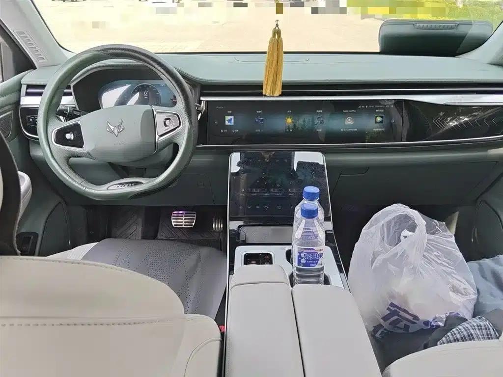Jihu Alphard T 2024 618E Forest Edition PRO 175kW — миниатюра 13
