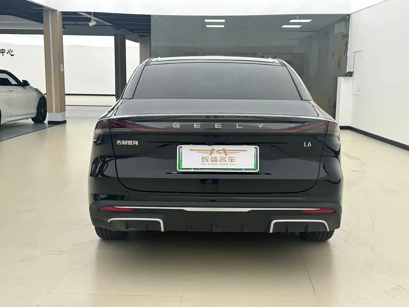 Galaxy L6 2024 125km PLUS Dragon Edition — миниатюра 10