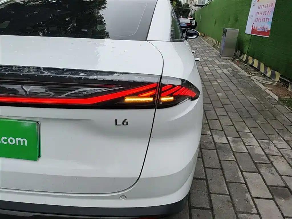 Galaxy L6 2024 125km PLUS Dragon Edition — миниатюра 8