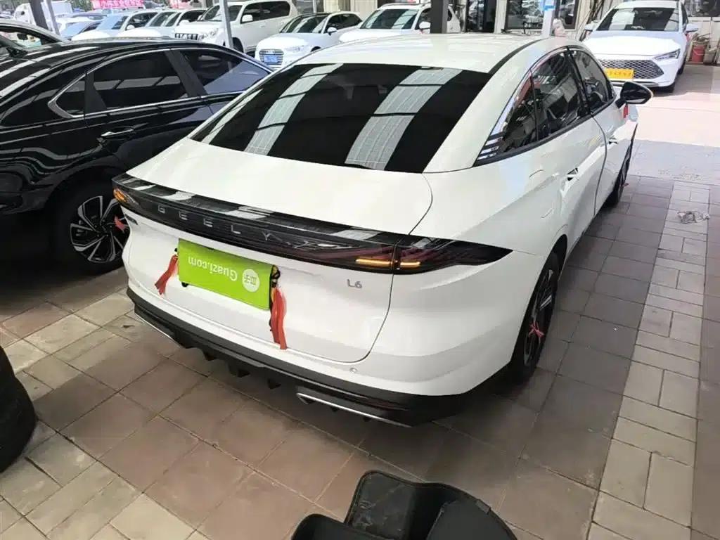 Galaxy L6 2024 125km PLUS Dragon Edition — миниатюра 7