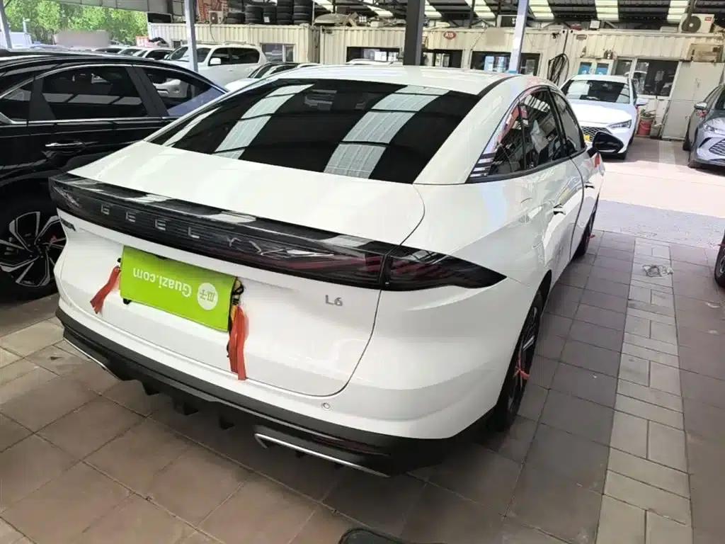 Galaxy L6 2024 125km PLUS Dragon Edition — миниатюра 8