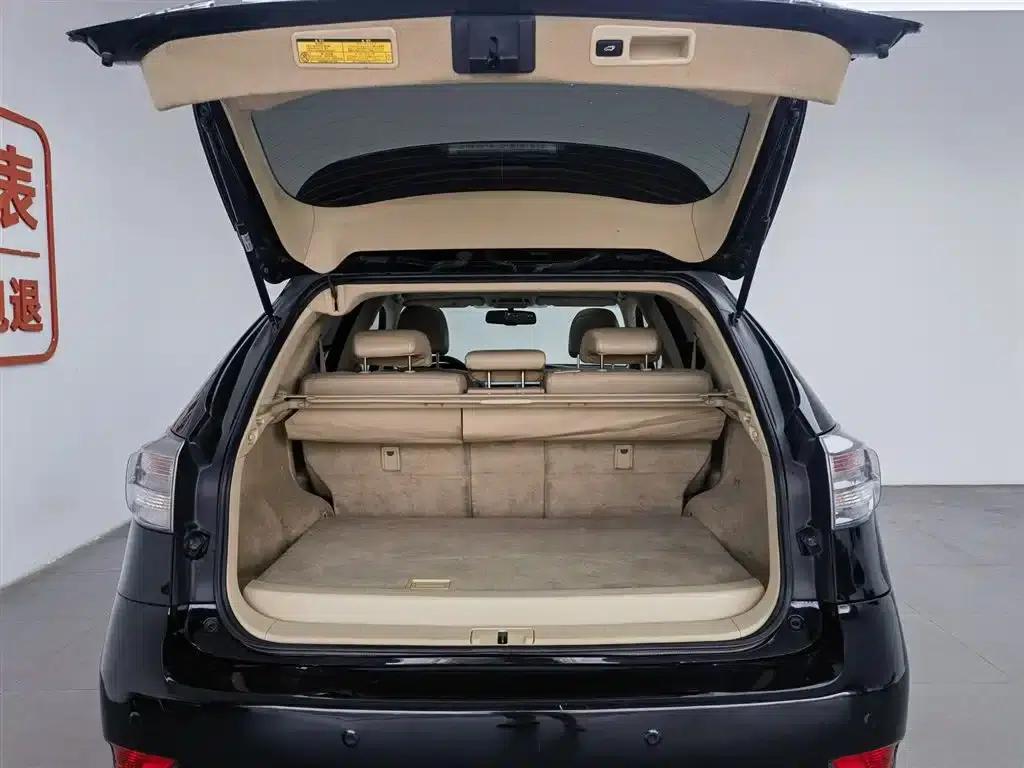 Lexus RX Classic 2009 350 Luxury Edition — миниатюра 16