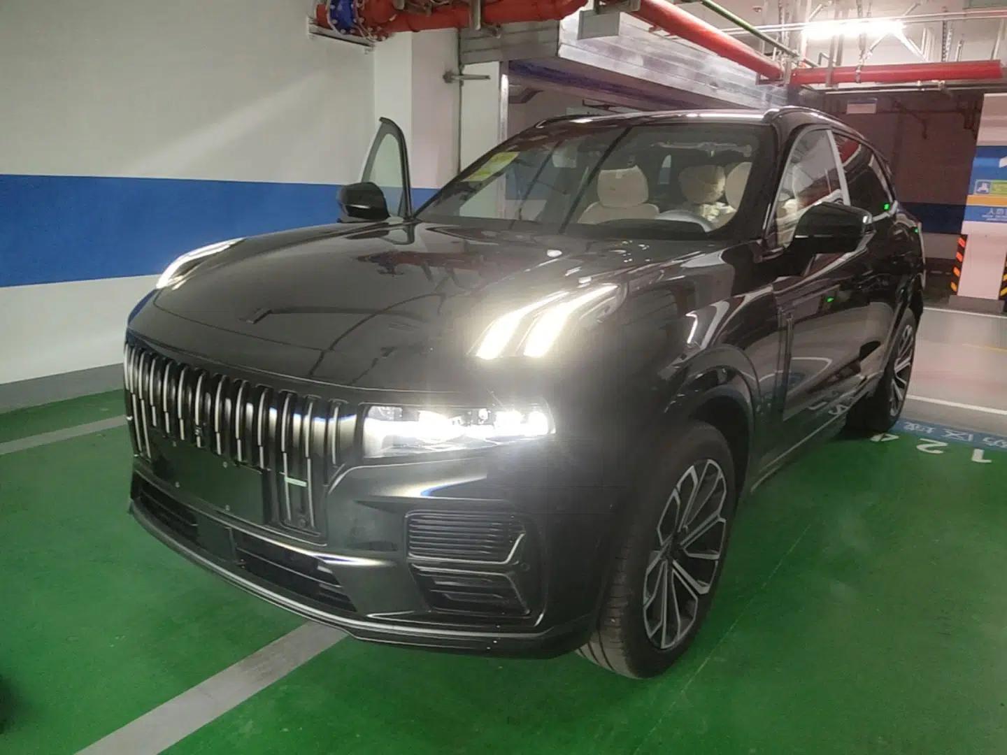 Lynk & Co 09 EM-P 2025 2.0TD EM-P Four-Wheel Drive Max Five Seats — миниатюра 1