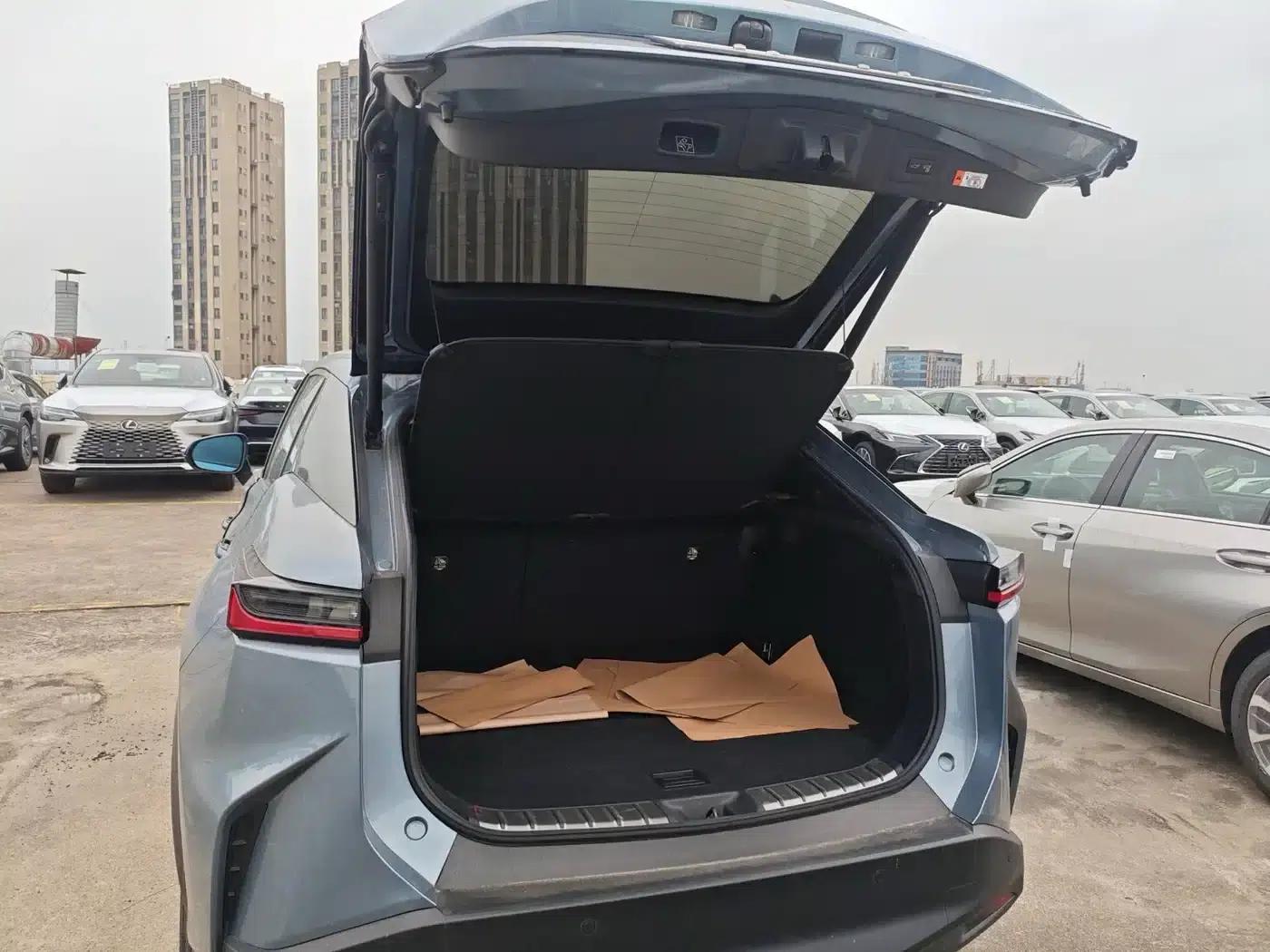 Lexus RZ 2023 450e AWD Luxury Edition — миниатюра 9