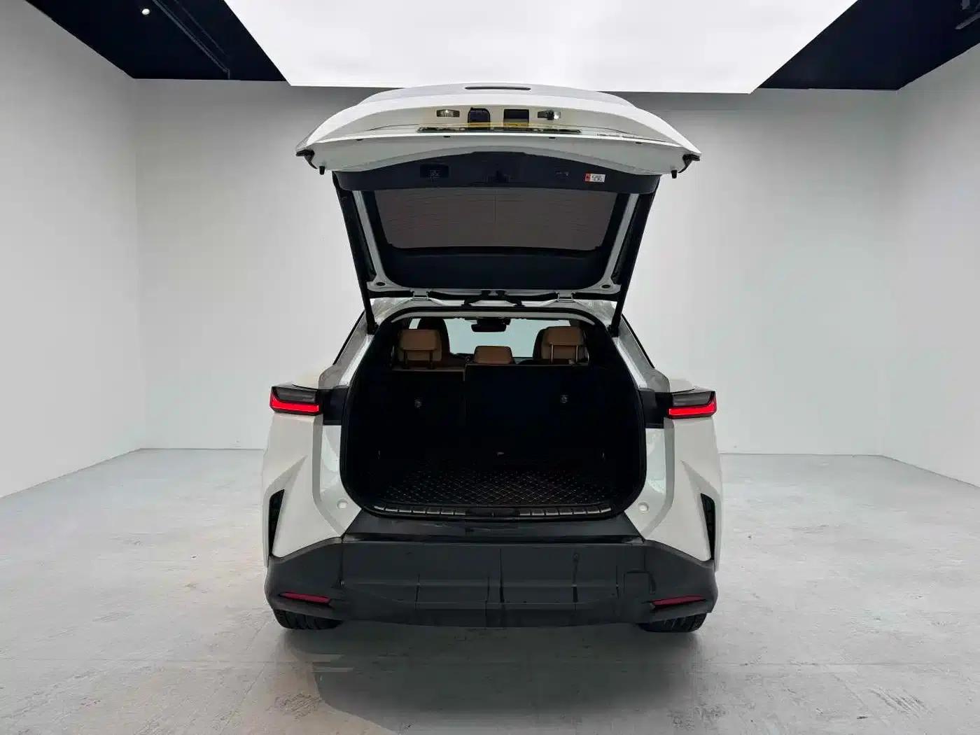 Lexus RZ 2023 450e AWD Luxury Edition — миниатюра 8