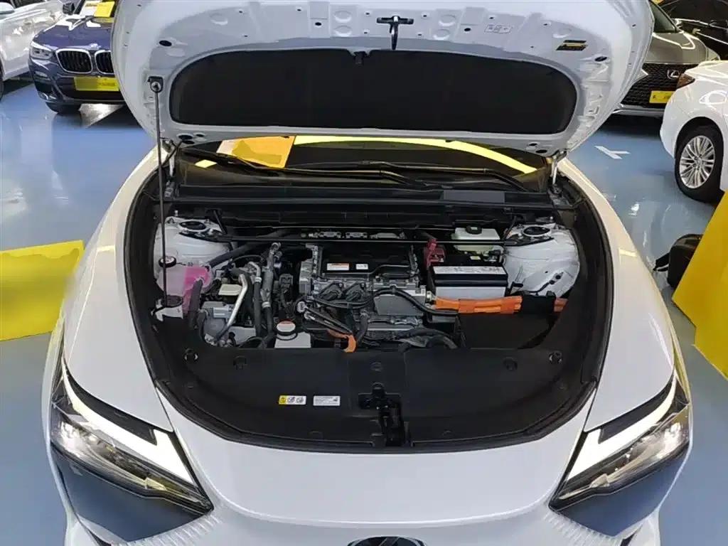 Lexus RZ 2023 450e AWD Luxury Edition — миниатюра 20
