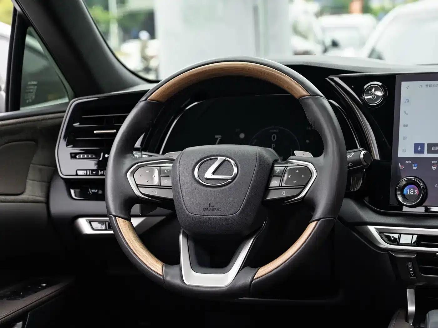 Lexus RX Hybrid 2023 450h+ AWD Enjoy Edition — миниатюра 14