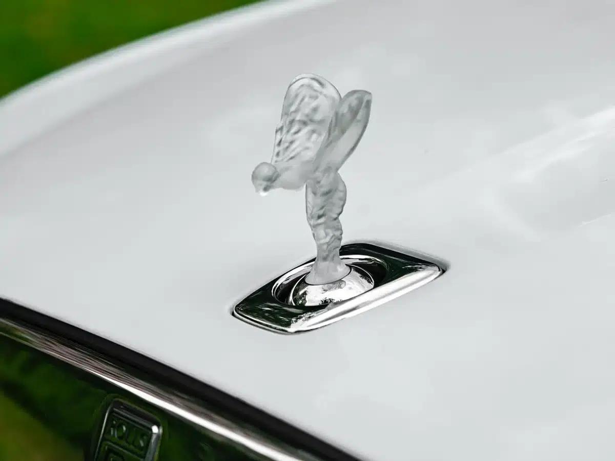 2021 Ghost 6.7T Standard Wheelbase — миниатюра 15