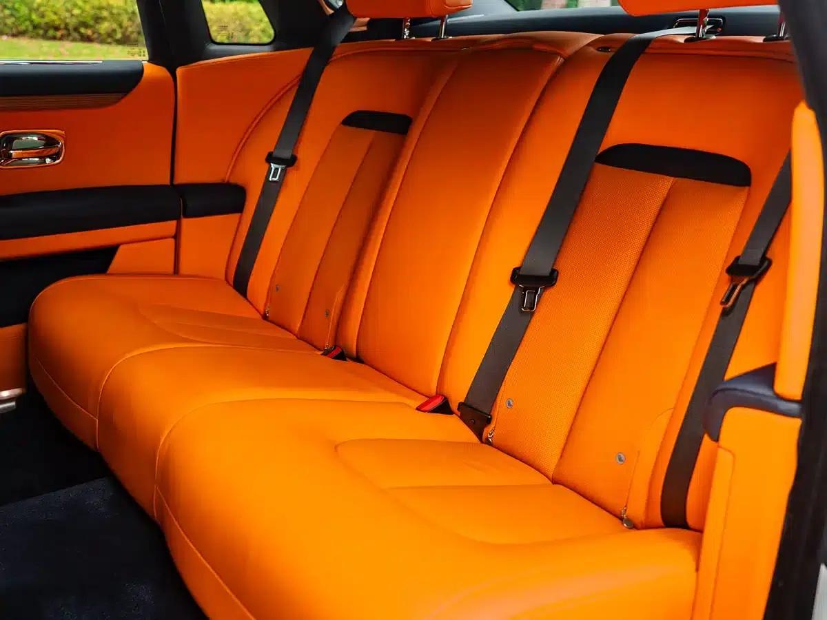 2021 Ghost 6.7T Standard Wheelbase — миниатюра 9