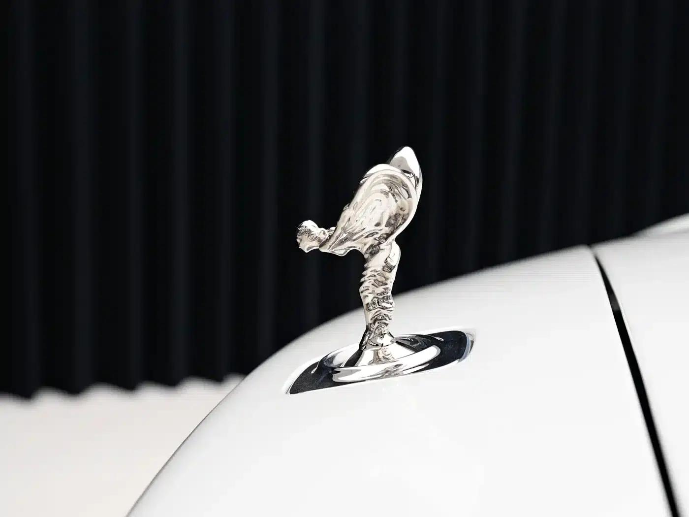 2021 Phantom 6.6T Standard Edition — миниатюра 8