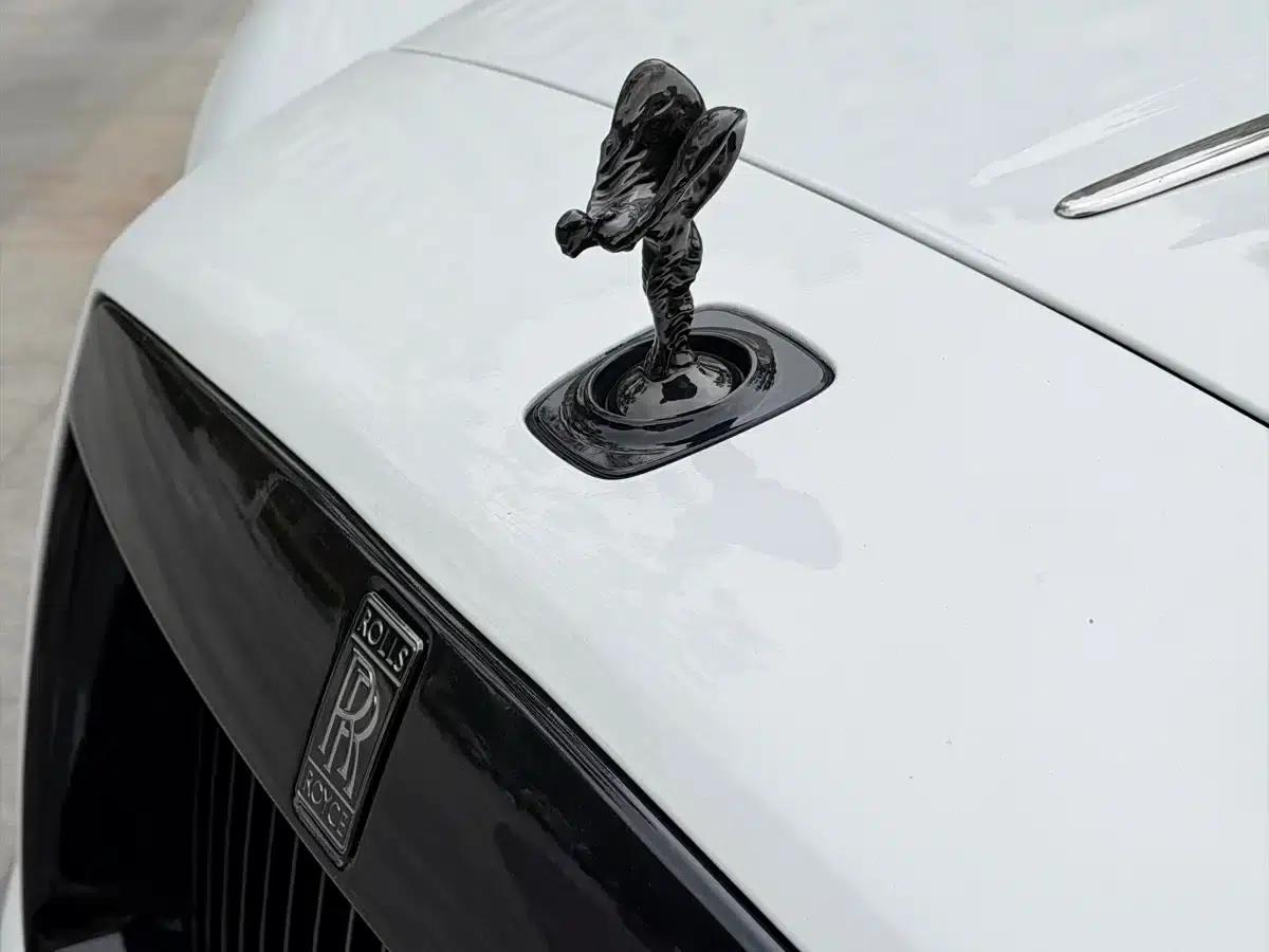 2018 Phantom 6.6T Standard Edition — миниатюра 4