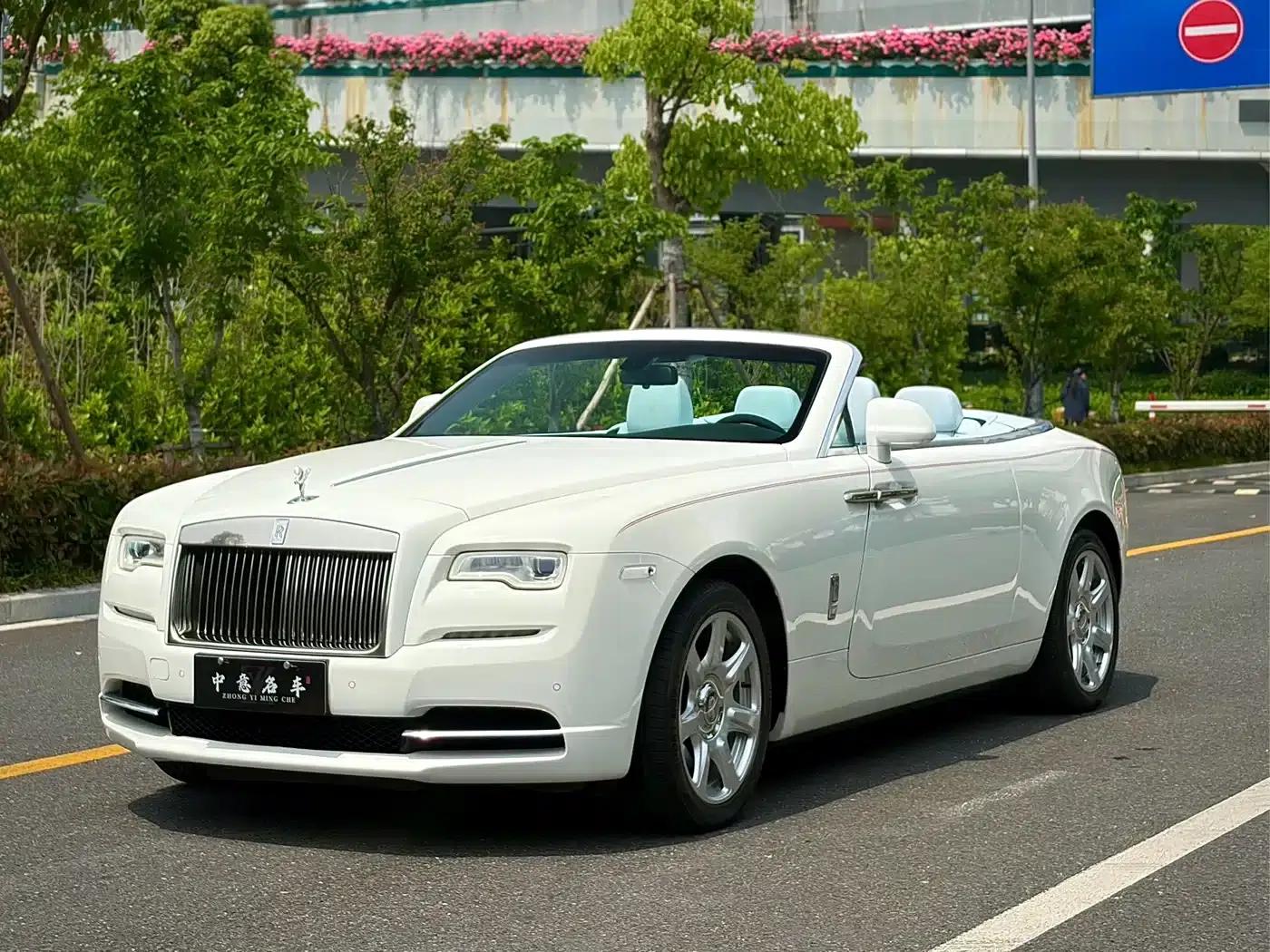 2018 Dawn 6.6T Standard Edition — миниатюра 1