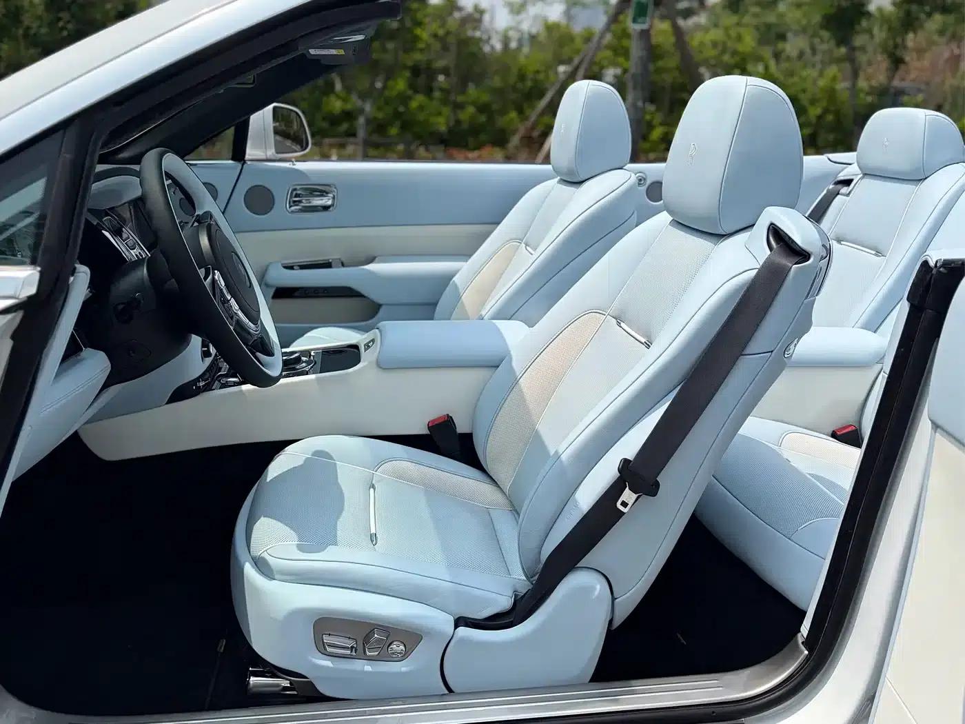 2018 Dawn 6.6T Standard Edition — миниатюра 14