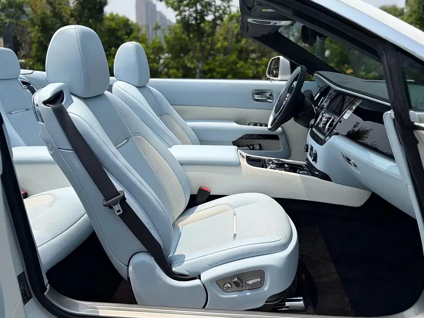 2018 Dawn 6.6T Standard Edition — миниатюра 18