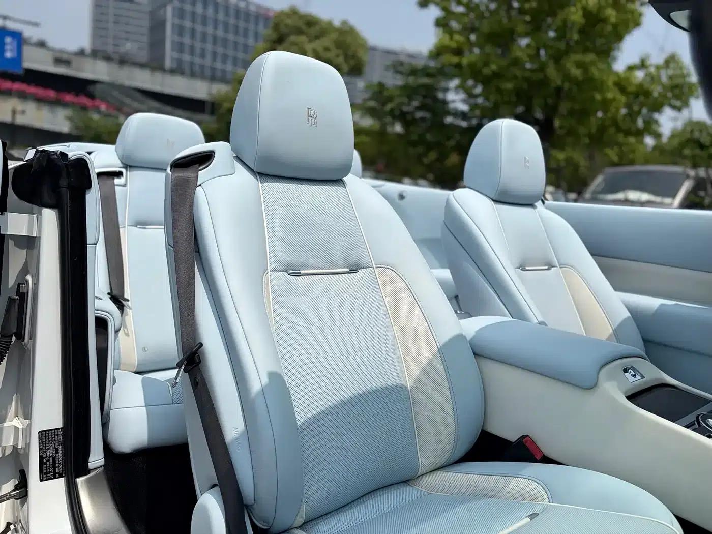 2018 Dawn 6.6T Standard Edition — миниатюра 19