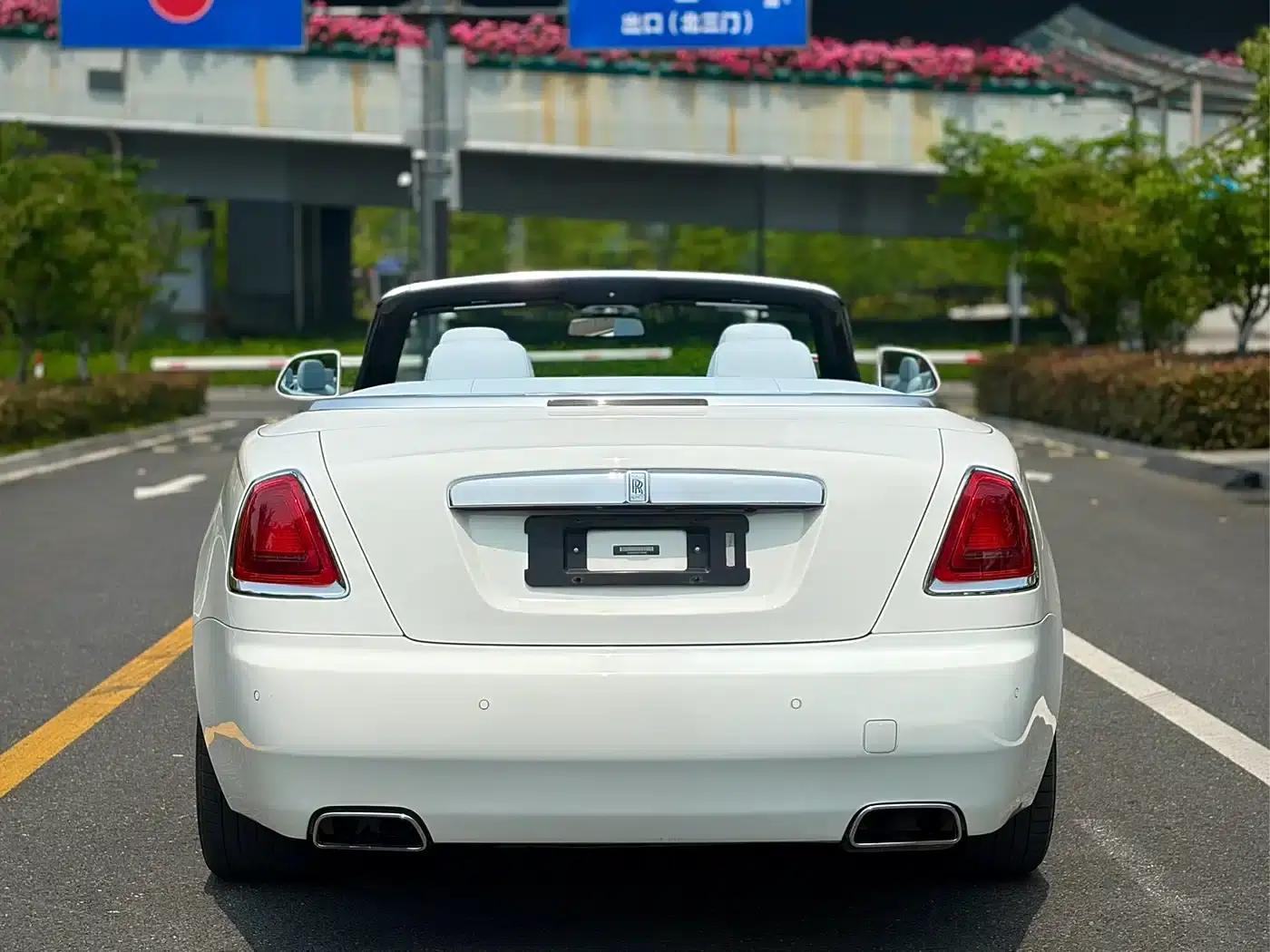 2018 Dawn 6.6T Standard Edition — миниатюра 4