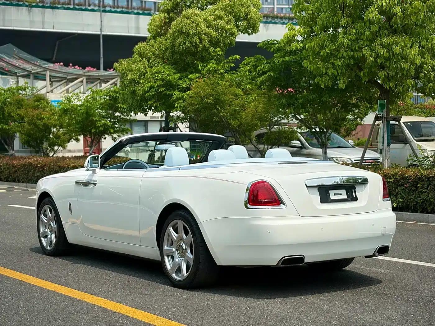 2018 Dawn 6.6T Standard Edition — миниатюра 5