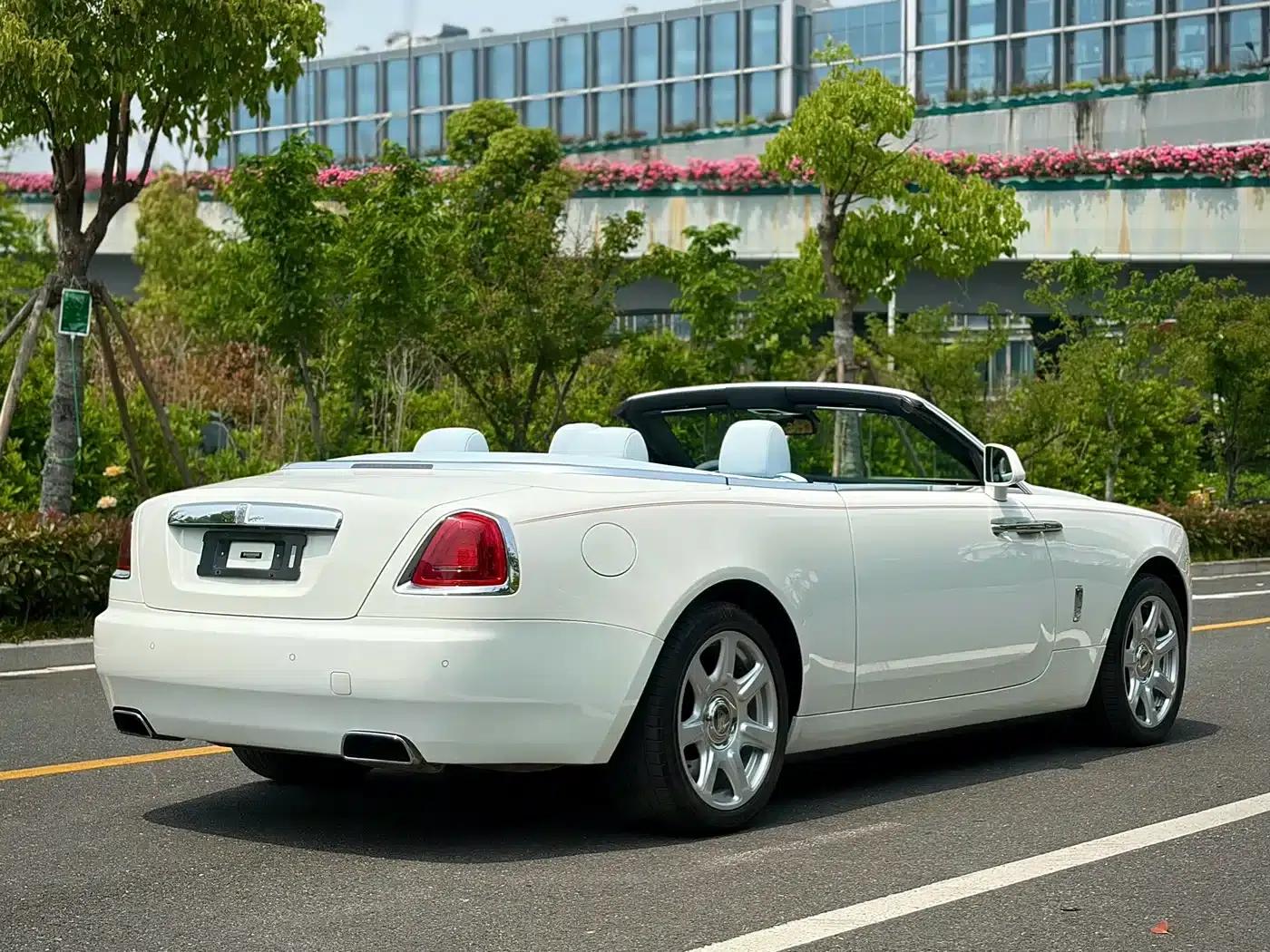 2018 Dawn 6.6T Standard Edition — миниатюра 6